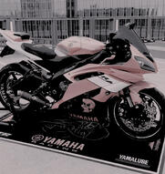 pink kawasaki ninja h2r